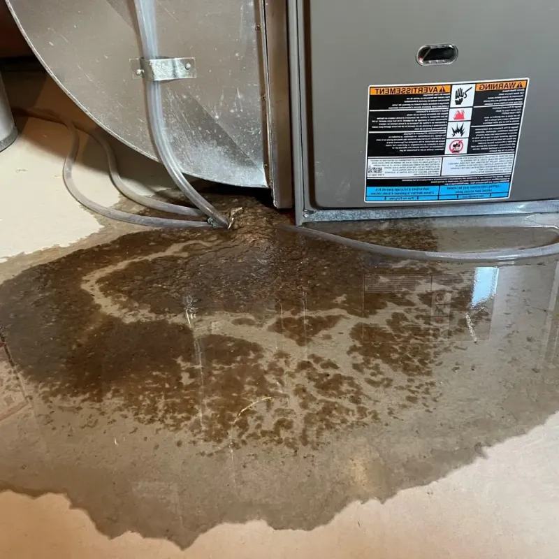 Pipe Burst and Leak Restoration in Nobleboro, ME